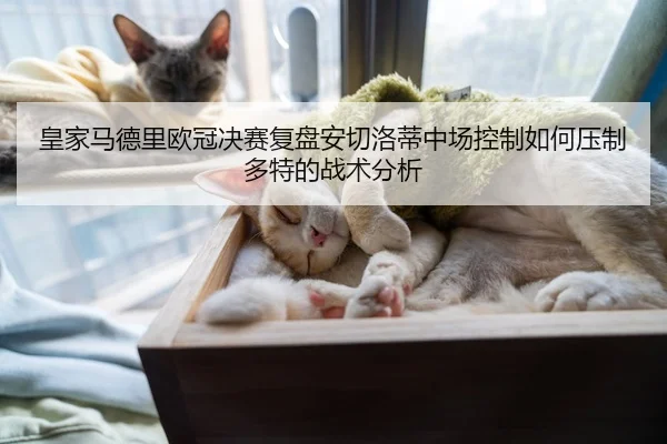 皇家马德里欧冠决赛复盘安切洛蒂中场控制如何压制多特的战术分析