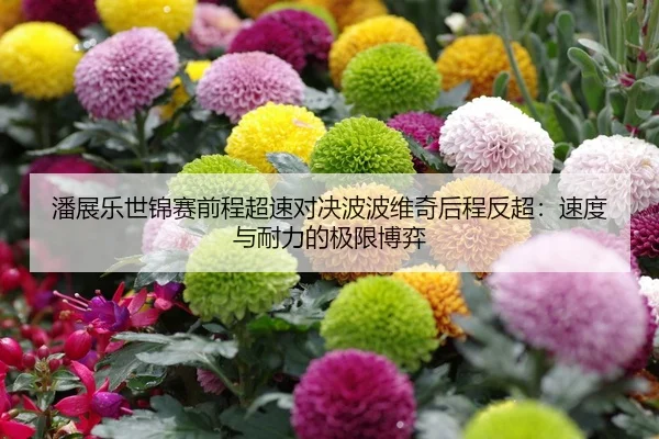 潘展乐世锦赛前程超速对决波波维奇后程反超：速度与耐力的极限博弈