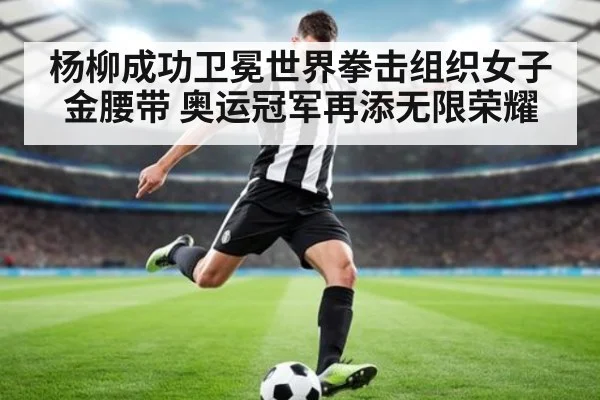 杨柳成功卫冕世界拳击组织女子金腰带 奥运冠军再添无限荣耀