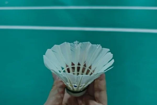 2026年NFL超级碗酋长对老鹰马霍姆斯与赫茨对决深度分析